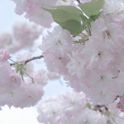 Furry角色互动设计兽圈社群